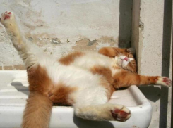 Непогода покинула Краснодарский край