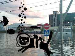  В Краснодаре создадут службу по откачке воды с улиц и прочистке ливневки 