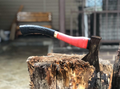 В Краснодарском крае подростки убили пенсионера ради 800 тысяч рублей