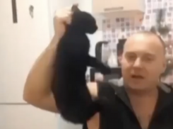 В Краснодаре пьяный десантник пытался зарезать своего кота в прямом эфире