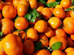 Пользователи соцсетей нашли якобы ввезенные на Кубань продукты питания, зараженные гриппом и ротавирусной инфекцией 