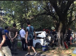 Водитель «жигулей» погиб под Туапсе, протаранив дерево