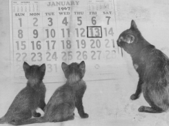 Пятница 13: что нельзя делать в этот день и как избежать неприятностей