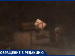 В День защиты детей краснодарцы избили друг друга столом