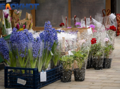 В Краснодаре на четыре дня откроют весеннюю ярмарку