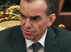Губернатор Кубани поручил защитить границы края от Ростовской области из-за птичьего гриппа