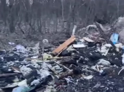 Полиция разыскивает виновников стихийной свалки в Краснодаре