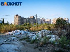 Судебные дела, нулевая выручка и лишение статуса регоператора: кто будет отвечать за переработку мусора в Краснодарском крае 
