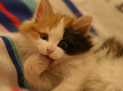 В первый день осени в Краснодаре будет солнечно