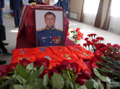 Подполковник авиации Дмитрий Моисеев погиб в ходе СВО