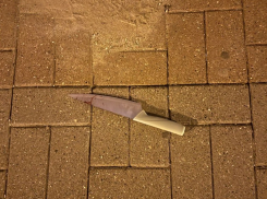Голый мужчина с ножом устроил переполох в Геленджике