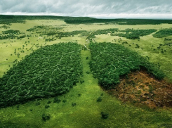 5 самых интересных экопроектов Кубани на инвестфоруме