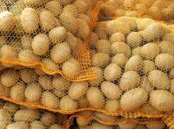 Три фуры гуманитарной помощи Кубань отправила для беженцев из Донбасса в Ростовскую область