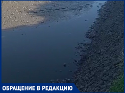 «Остаётся вонючее дно»: в Краснодаре уничтожили пруд с рыбой