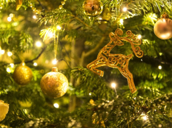 Администрация Краснодара потратит 2,7 млн рублей на установку елок к Новому году