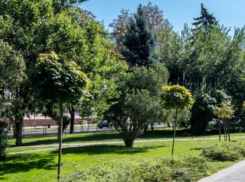 В Краснодаре нет проекта зеленого благоустройства Красной: урбанист 