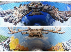 Художники из Краснодара превратили тоннель в «Роза Хутор» в арт-объект 