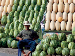 В крае ликвидируют несанкционированную ярмарку на федеральной трассе
