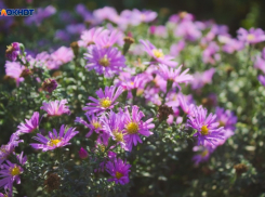 Долгожданный плюс, но сильный ветер: прогноз погоды в Краснодаре на 19 марта