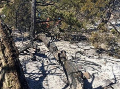 Власти Кубани обсудят восстановление Утриша с Минприроды России 