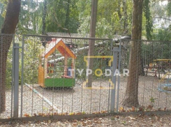 На игровую площадку детсада в Краснодаре снова рухнуло дерево 
