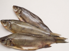 На Кубани в соленой рыбе нашли опасных паразитов