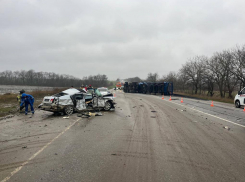 В Краснодарском крае за день в трёх ДТП погибли четыре человека