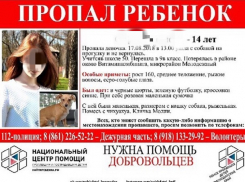 В Краснодаре пропала 14-летняя девочка с собачкой