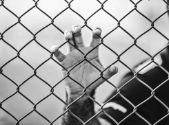 На Кубани за убийство пожилой матери мужчину посадили на 12 лет