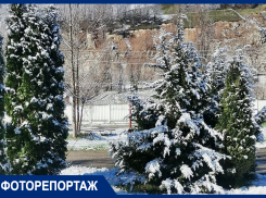 Зимняя сказка в марте: в Краснодарском крае выпал снег