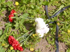 В Краснодарском крае появился стихийный мемориал 6-летней девочке, выпавшей из окна