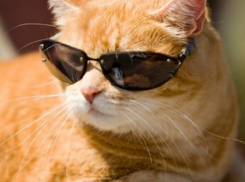  Дожди ушли, на Кубань наступает жара 