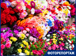 От синих роз до мини-калл: искусственные цветы заполонили рынки Краснодара