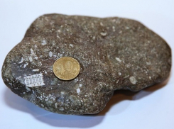 Камень возрастом сотни миллионов лет выловил рыбак на Кубани