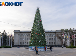 Мэрия Краснодара устроит алкогольную ярмарку перед зданием Заксобрания