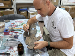 Бронзовый век, богиня Тихе и никаких суеверий: как археологи находят и спасают древние артефакты на Тамани