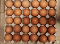 Краснодарцам предложили покупать куриные яйца поштучно 