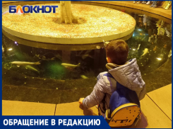 Пруд с карпами в парке Галицкого краснодарцы забросали монетами