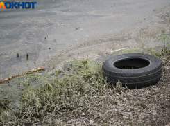 Андрей Алексеенко: «Стихийные свалки создают незаконные мусороуборочные компании»