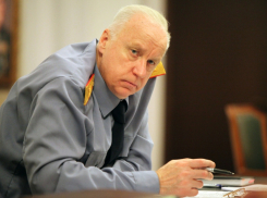 Глава Следкома РФ заинтересовался делом о гибели ребенка от лап медведей в Сочи