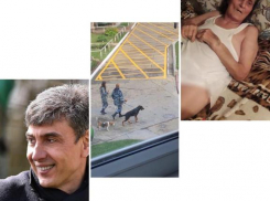 За Галицкого, минирование ВУЗов и доставка живой пенсионерки на «труповозке» - подводим итоги среды на Кубани