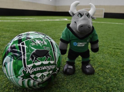 В топ-3 самых футбольных городов России вошел Краснодар