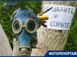 Большой остров Краснодара: кто пилит деревья и живет за забором