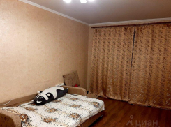 Жильё без оплаты или детей и студия за 6000 рублей: как сдают квартиры в Краснодаре