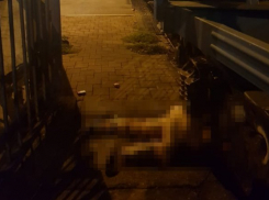  Поезд разрезал женщину пополам в Туапсе 