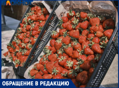 В Краснодаре подешевела клубника после жалобы Константина Ивлева