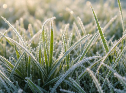 Апрельские заморозки до -4 градусов ударят по Краснодарскому краю