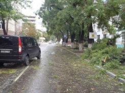  Ночной ураган в Анапе повалял деревья и оставил без света несколько тысяч человек 
