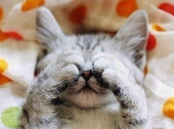 О сюрпризах погоды в Краснодарском крае рассказали синоптики