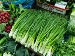 Число ярмарок выходного дня в Краснодаре вырастет до 8